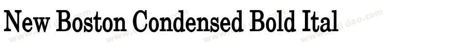 New Boston Condensed Bold Italic字体转换